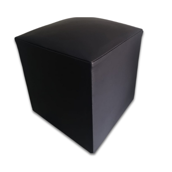 Leather Ottoman 2